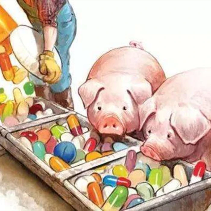 Phụ gia thức ăn chăn nuôi chiết xuất thực vật tự nhiên là sản phẩm kháng sinh...