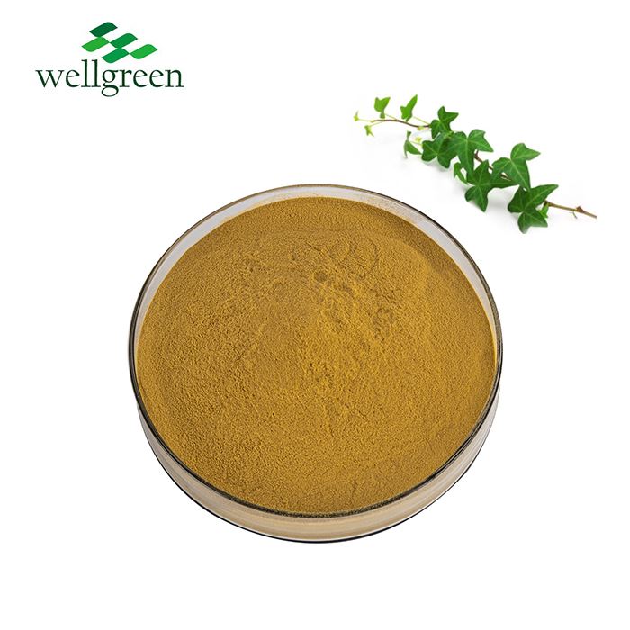 Công dụng của chiết xuất cây thường xuân trong mỹ phẩm là gì?