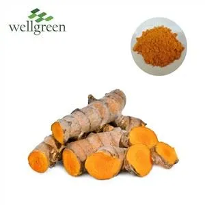 Bột chiết xuất nghệ