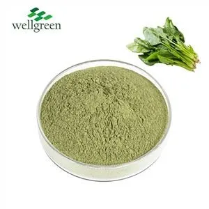Bột chiết xuất rau bina